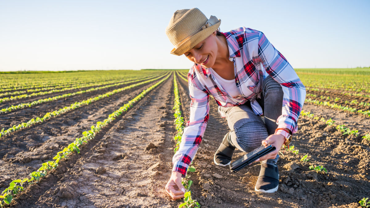 Why early-season weed control matters