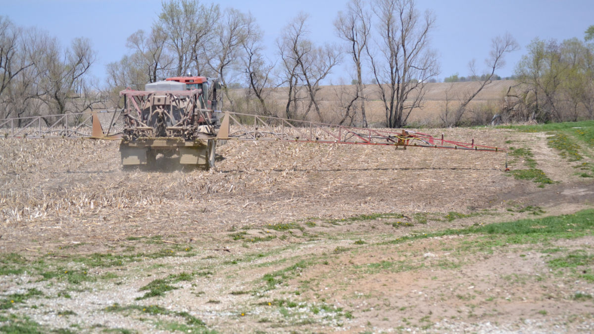 Tillage and herbicide strategies to control winter annuals