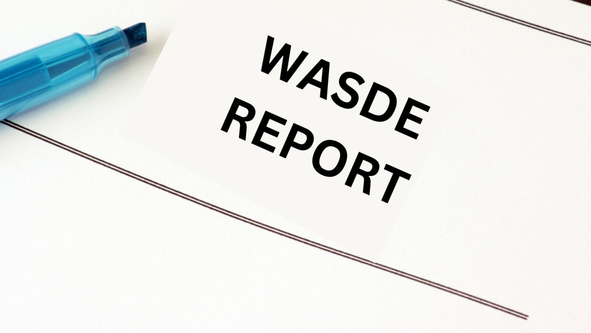 Key Takeaways from USDA’s Latest WASDE with the AgMarket.Net® Team 