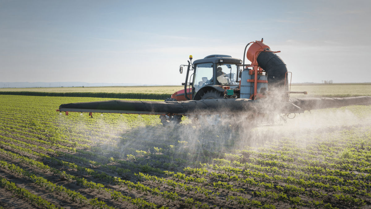 Soybean White Mold: Effective Strategies for Fungicide Application 