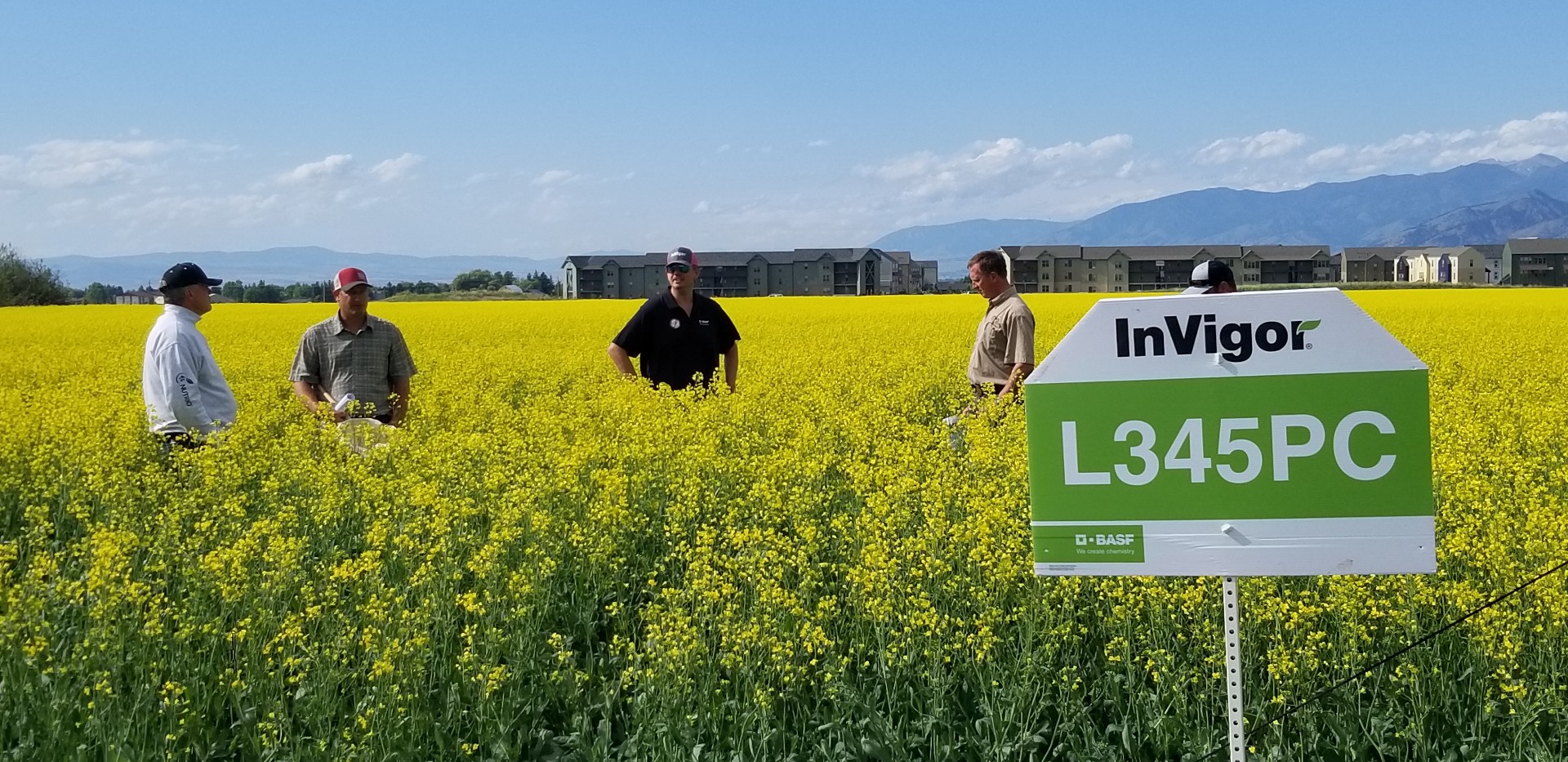 InVigor grower tour 