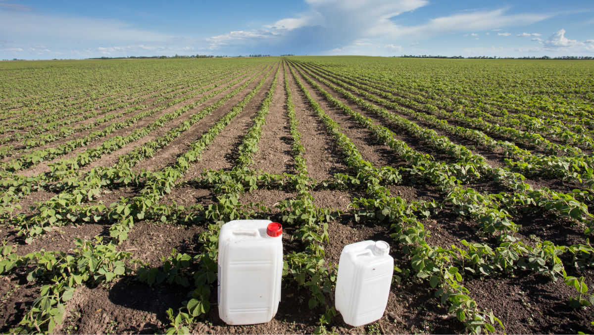 How a Burndown Herbicide Approach Can Help Production  