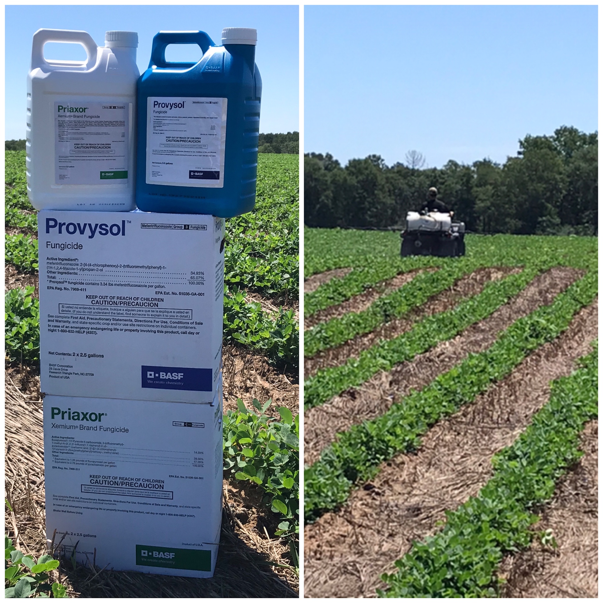 First fungicide app 