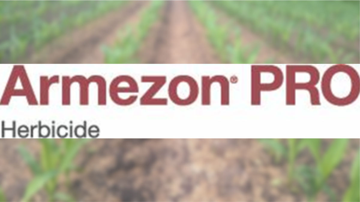 It's Time for POST Corn Herbicide Applications w/ Armezon® Pro Herbicide - ND/MN