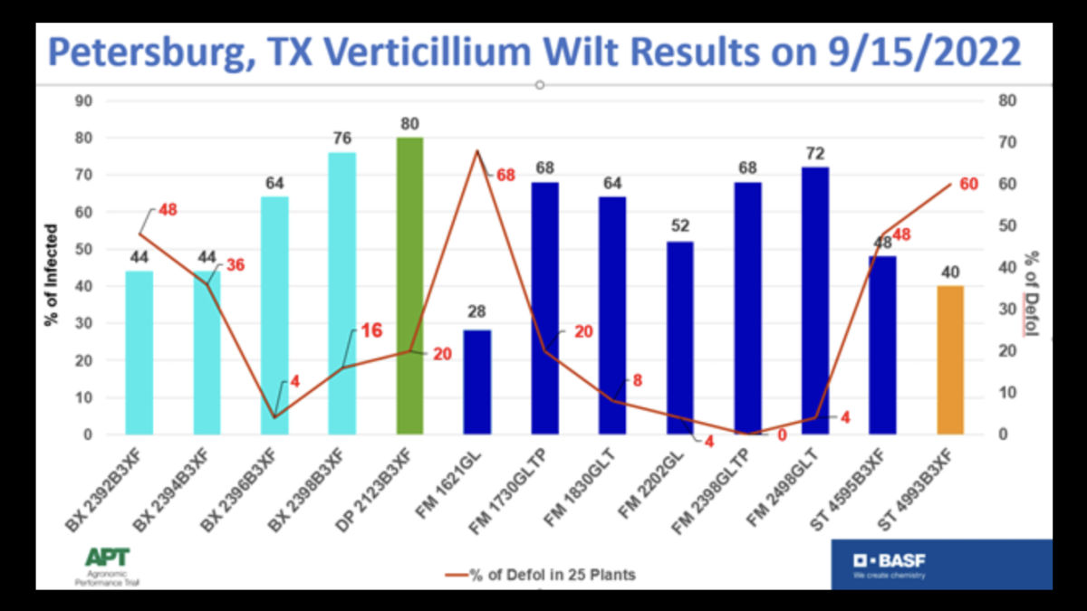 Verticillium Wilt?