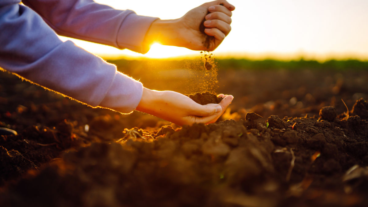 The Importance of Soil Testing for Agriculture